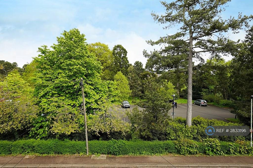 Bedford Park Opposite