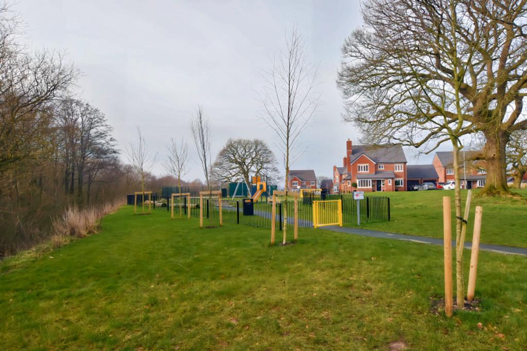 Play Area