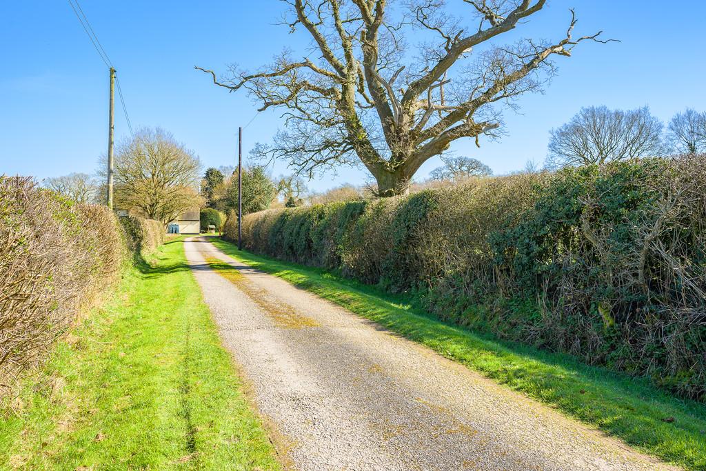 Driveway to Property