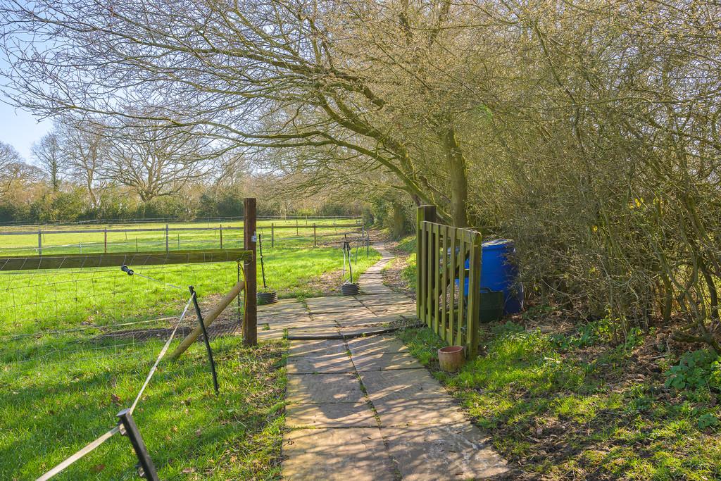 Pathway to Paddock