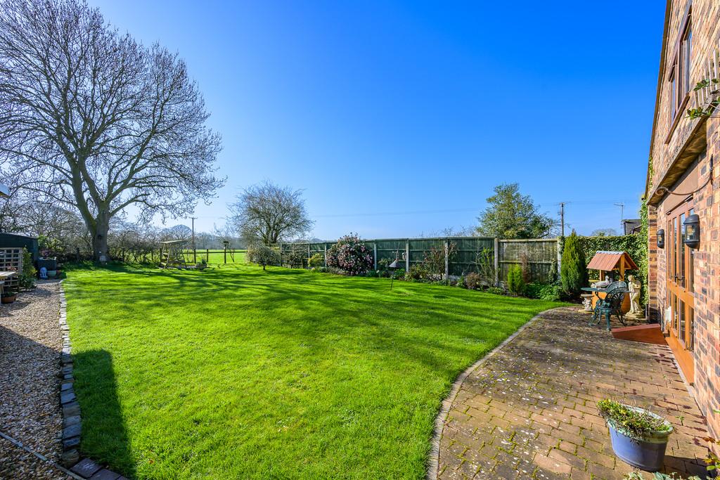 Rear Garden DSC 6847