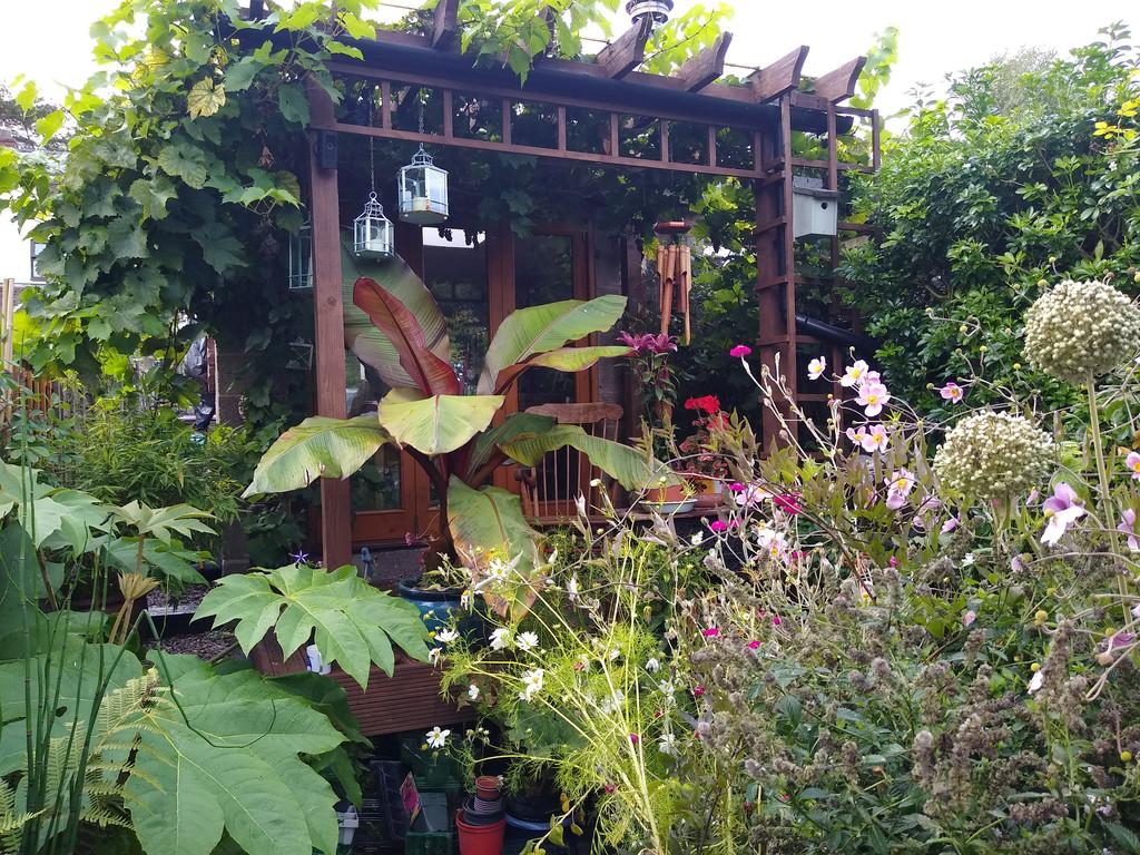 Photo from summer