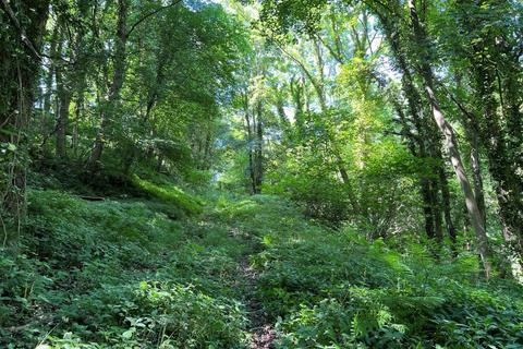 Woodland for sale, Dene Bank Wood (over 4 and a half acres) , Hart, Near Hartlepool, County Durham TS27