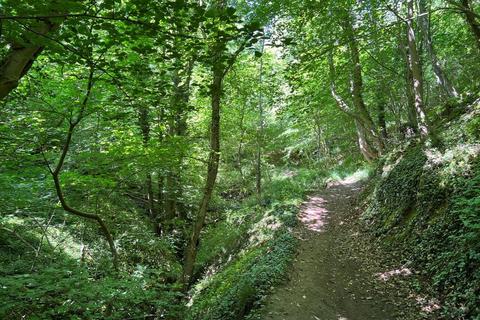 Woodland for sale, Dene Bank Wood (over 4 and a half acres) , Hart, Near Hartlepool, County Durham TS27