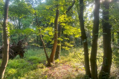 Woodland for sale, Mere Brow Wood (almost 13 acres), Mere Brow, Preston, Lancashire PR4
