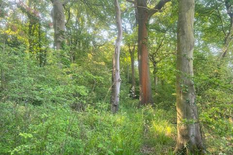 Woodland for sale, Mere Brow Wood (almost 13 acres), Mere Brow, Preston, Lancashire PR4