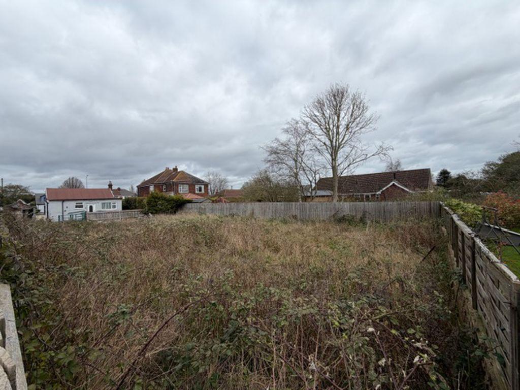Plot view from back