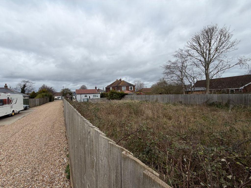 Plot view from back