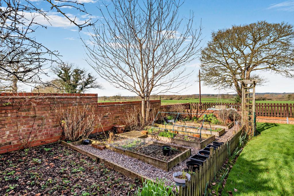 Vegetable garden