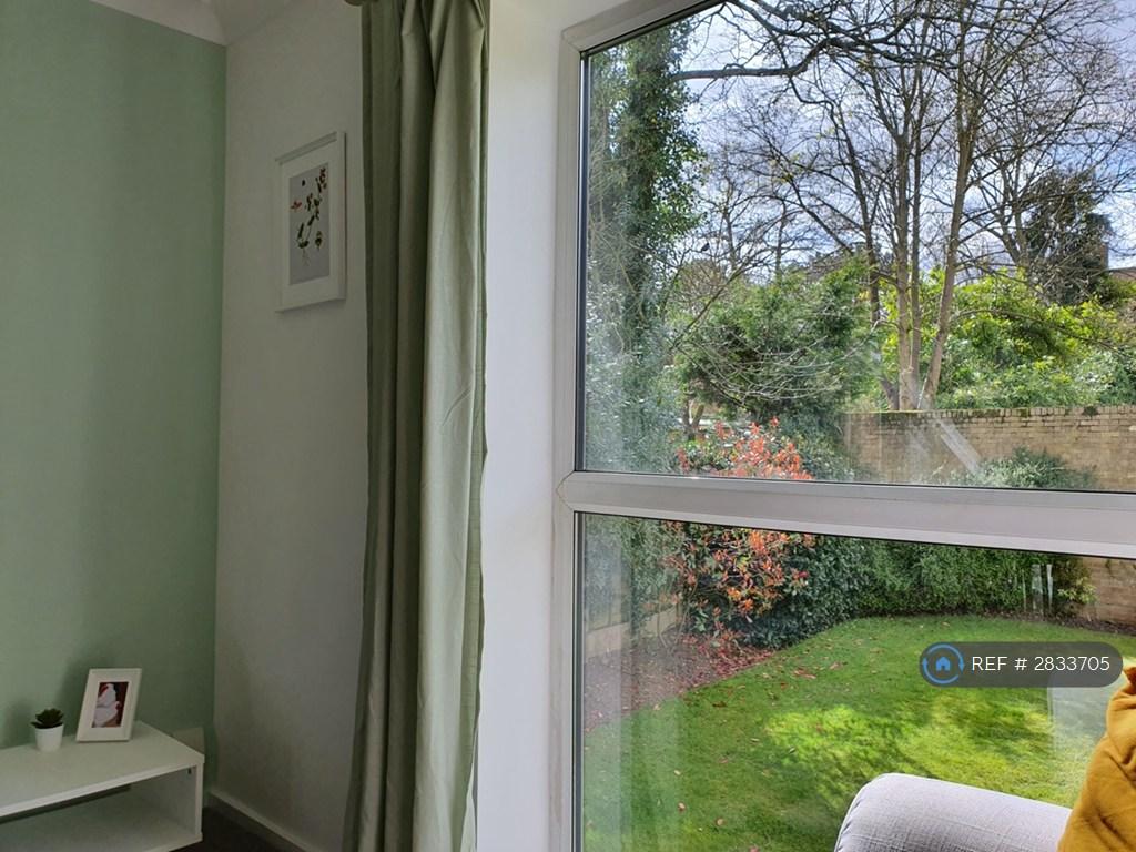 View From Living Room