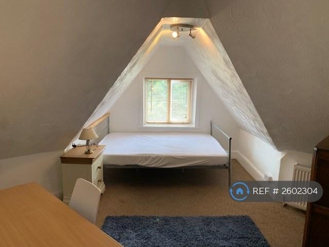 Room 16