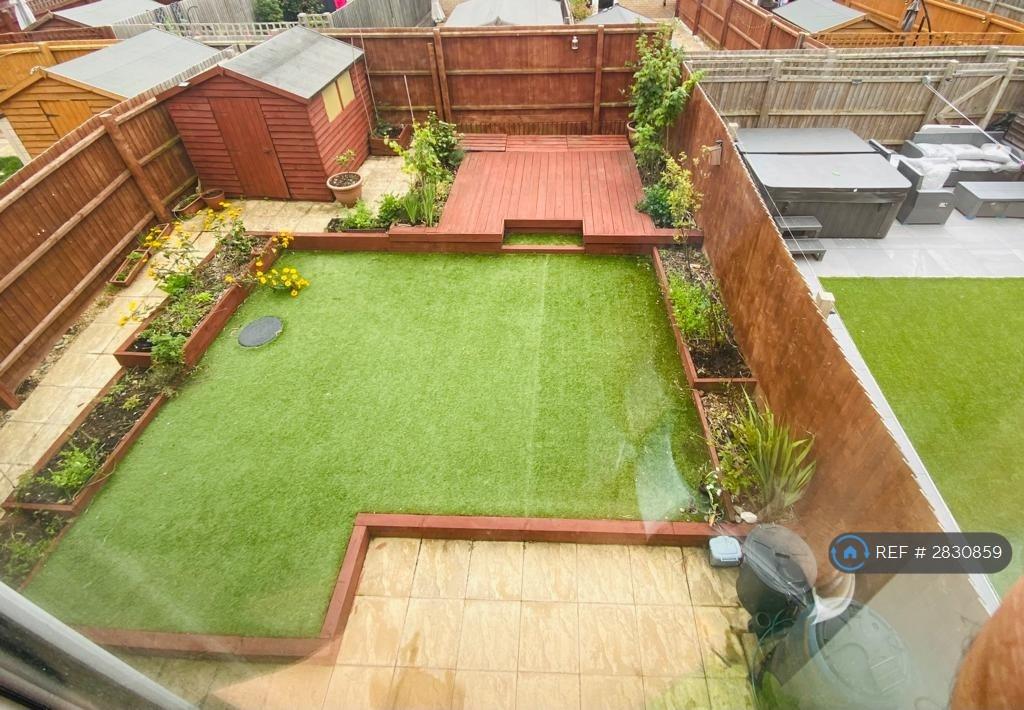 Back Garden