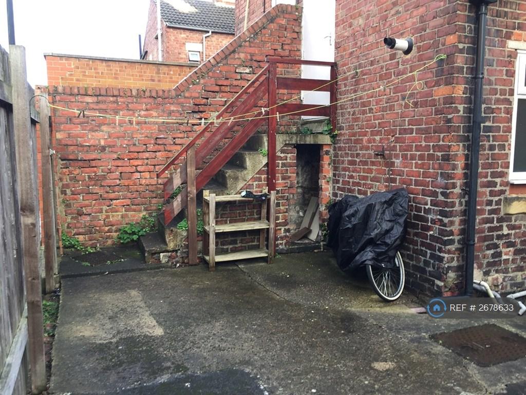 Back Yard 2
