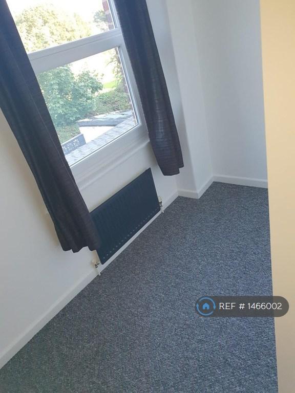 Back Bedroom