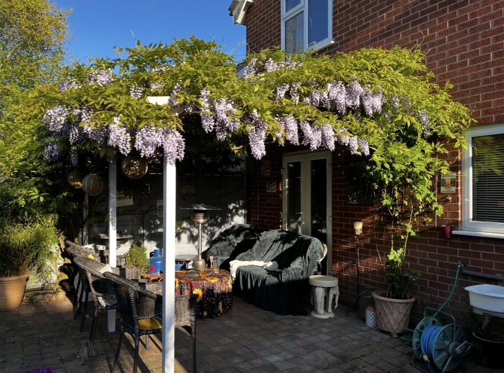 Picture No. 17
