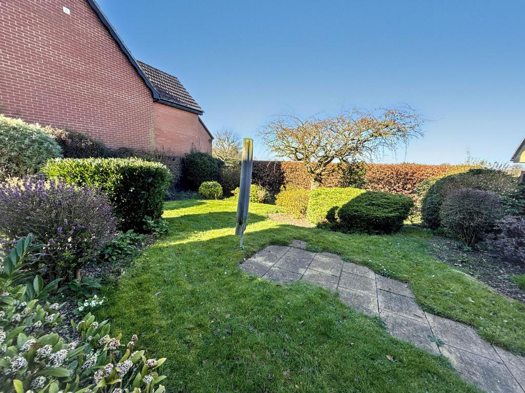 Back Garden