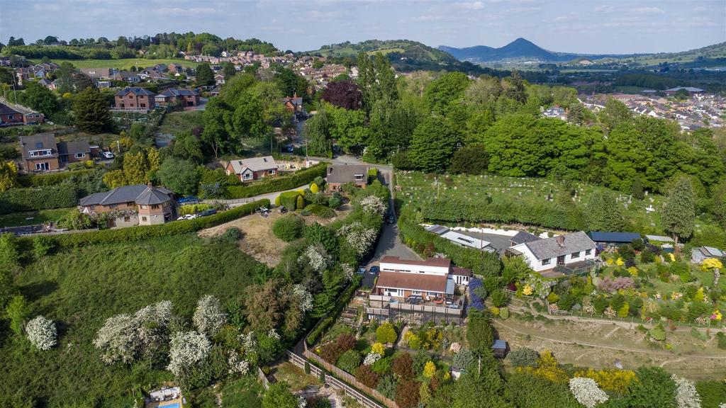 DJI 0990.jpg