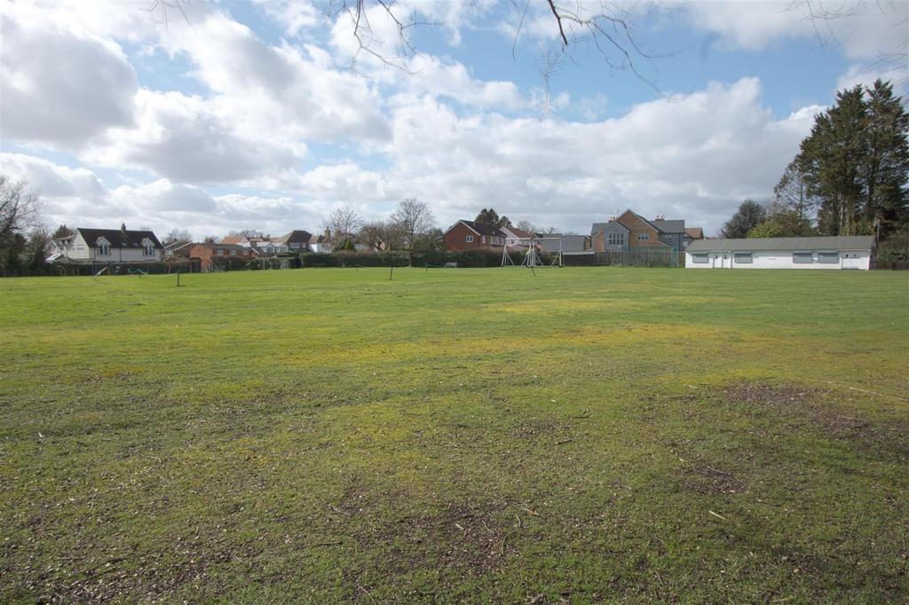 CRICKET GREEN1.jpg