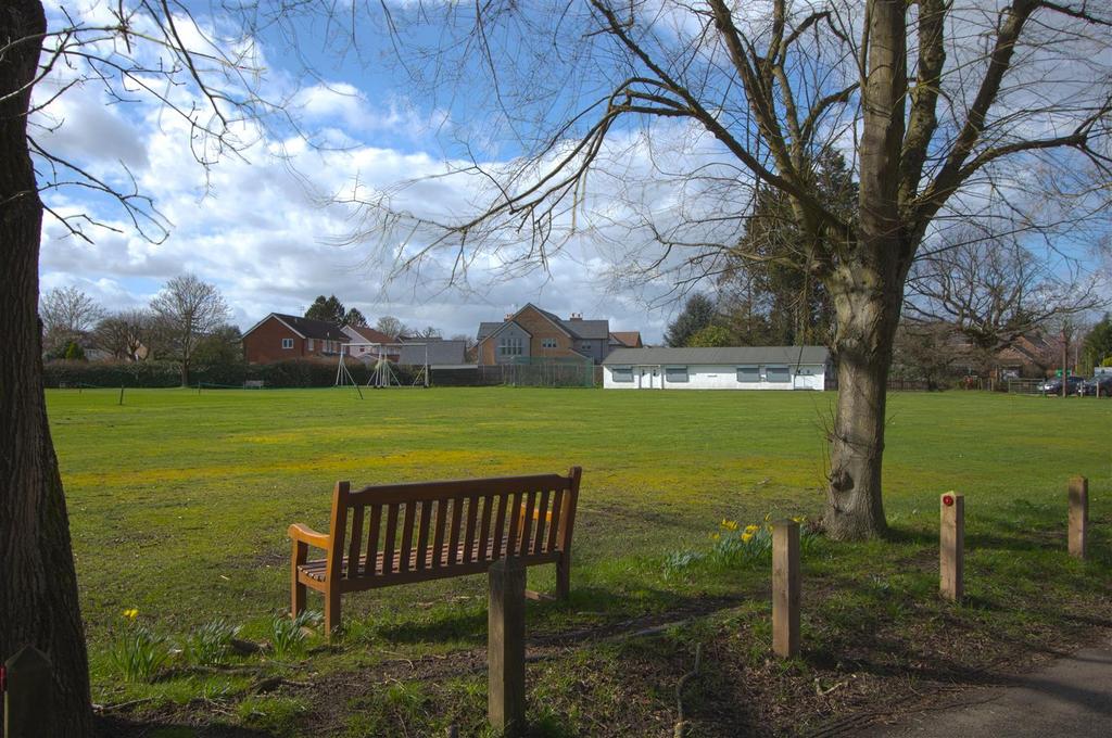 CRICKET GREEN.jpg