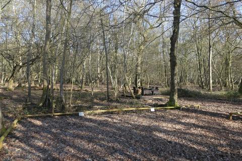 undefined, Buckwell Wood, Leaden Roding, near Great Dunmow, Essex CM6