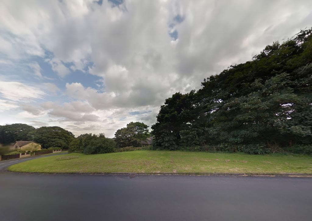 Plot 1 T202603201057.jpg