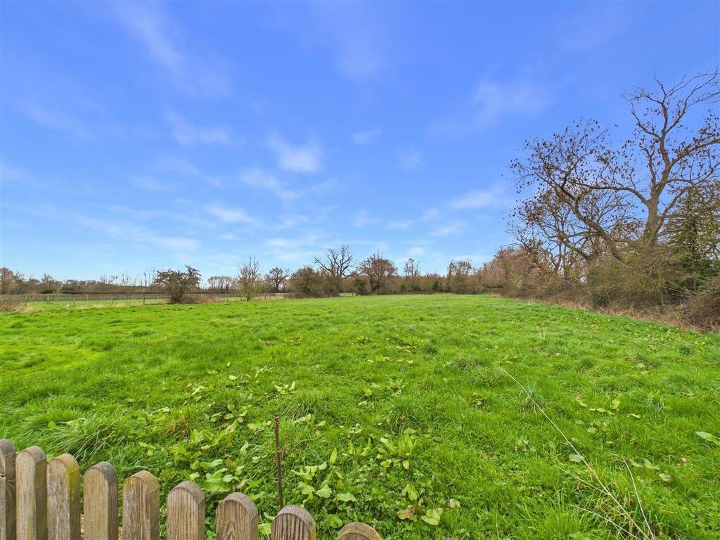 Grazing Paddock
