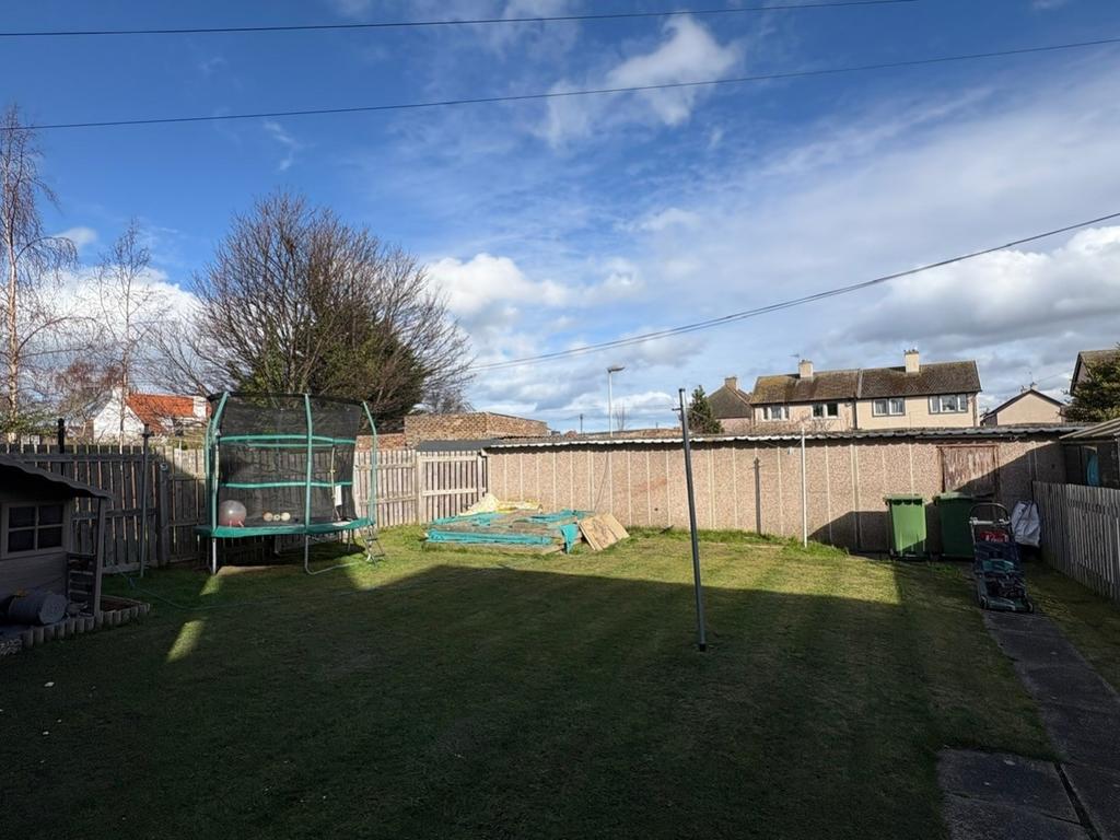 Back Garden 1