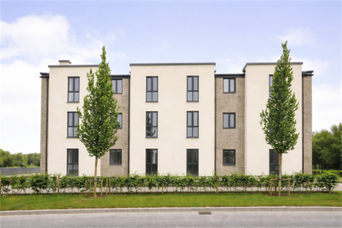 undefined, Rotherham S60