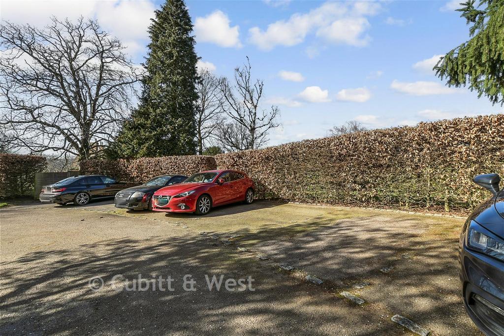 Driveway/Parking