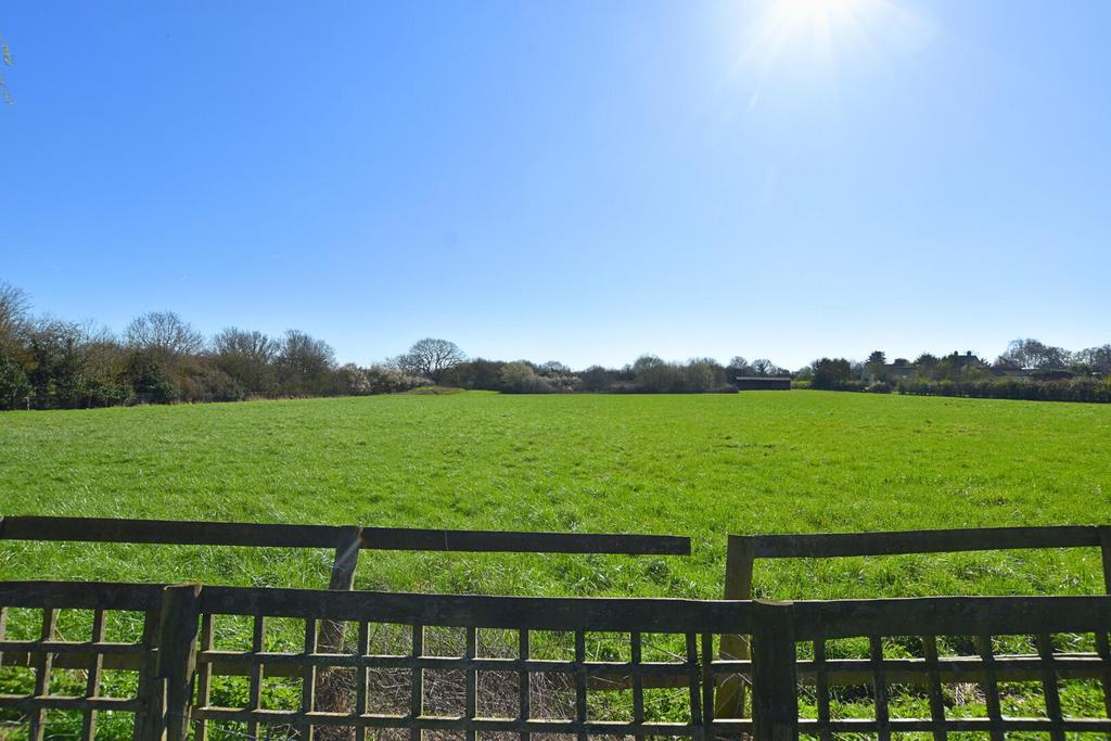 Fields