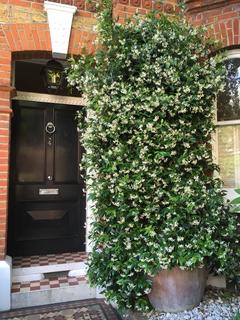 3 bedroom terraced house for sale, Soudan Road, London, SW11