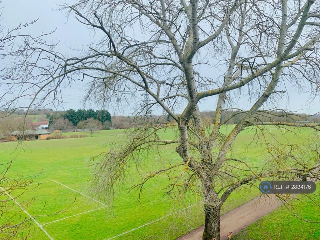 Adjacent Park