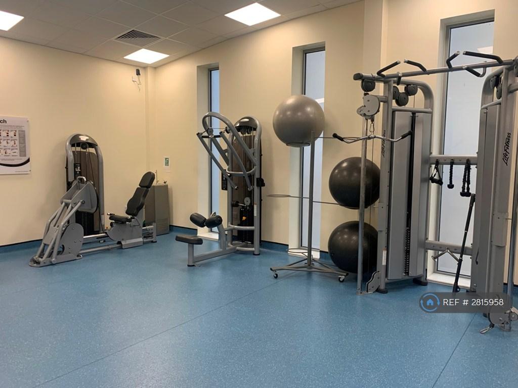Gym