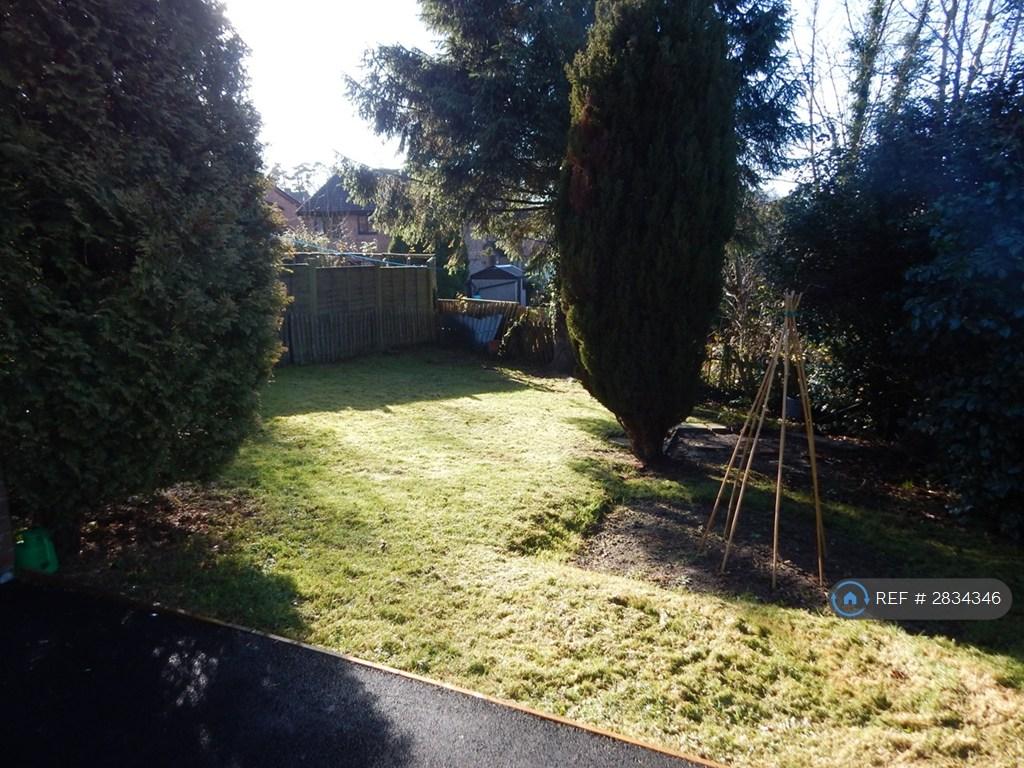 Back Garden