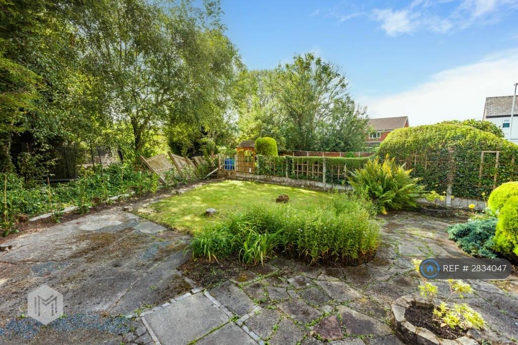 Back Garden