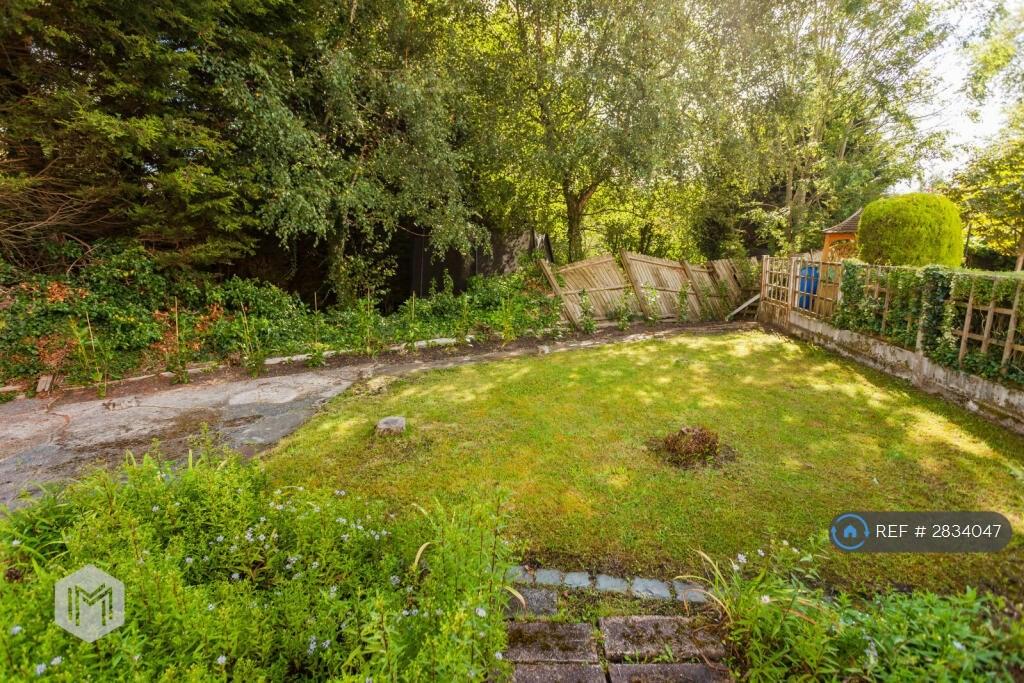 Back Garden