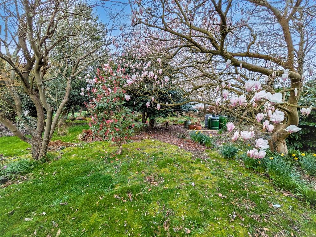 Rear garden 2 new.jpg
