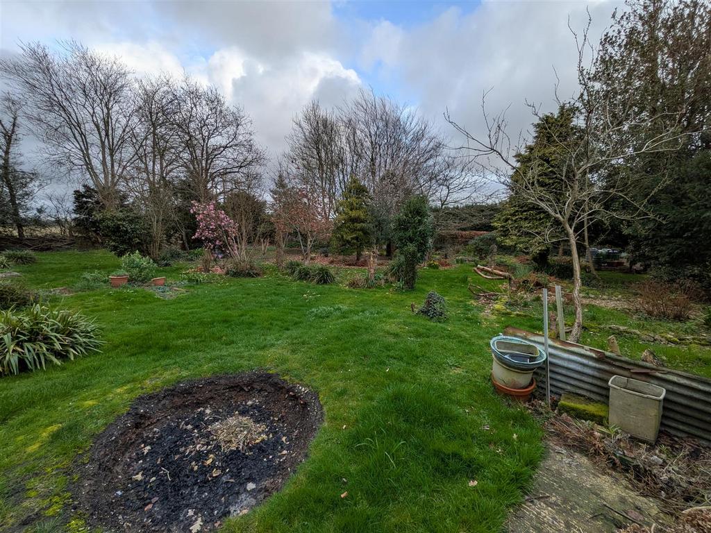 Rear garden 6.jpg