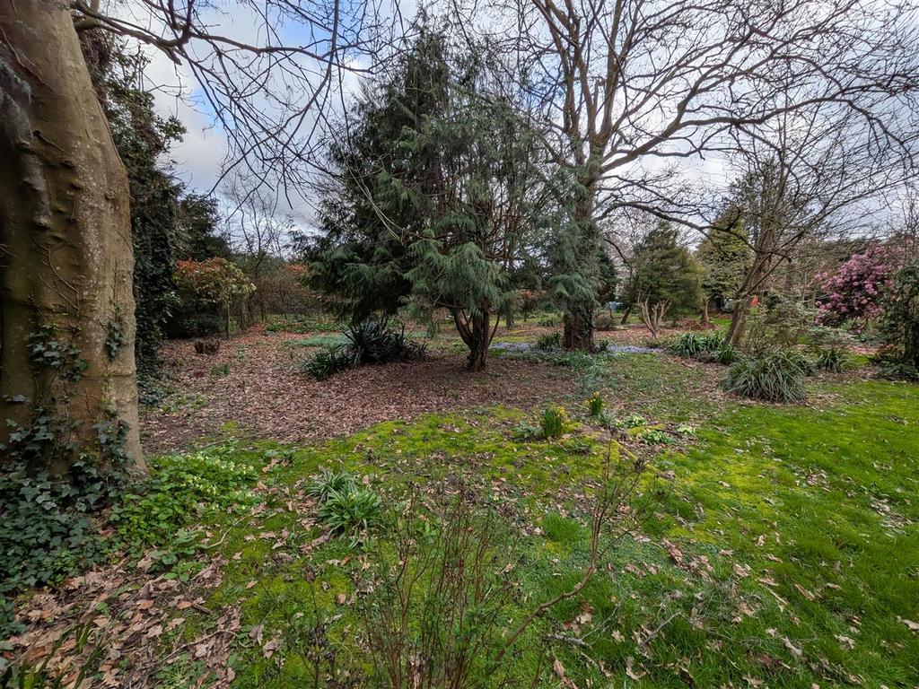 Rear garden 7.jpg