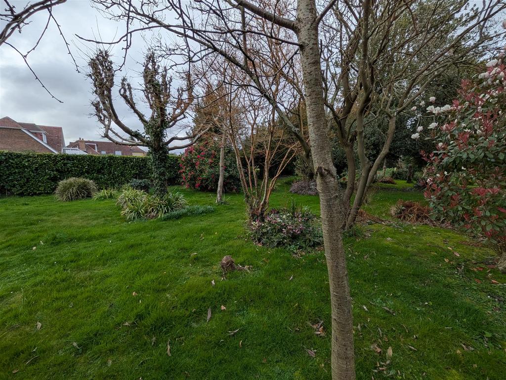Rear garden.jpg