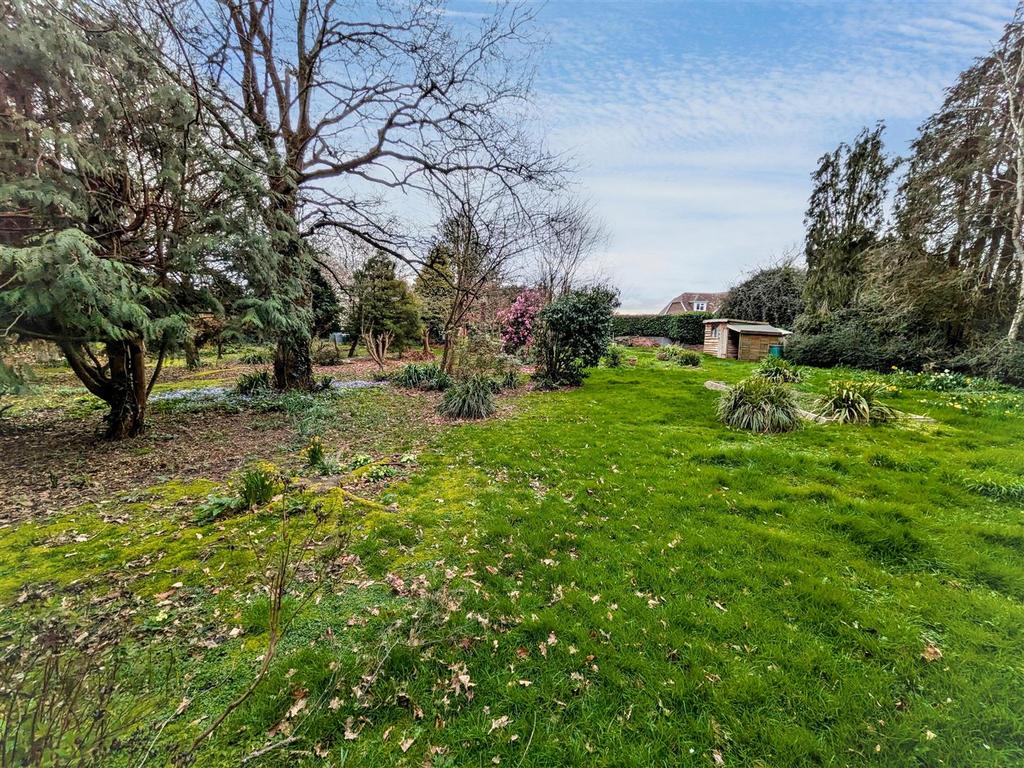 Rear garden 5 new.jpg