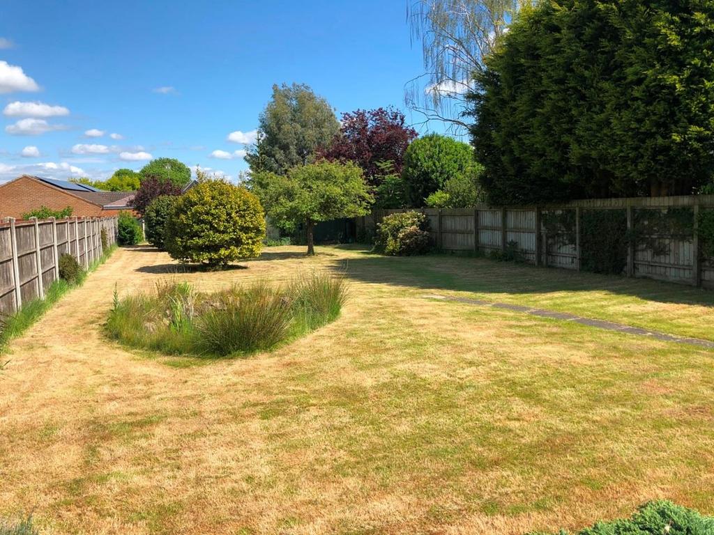 62 Derby- Garden 1.jpeg