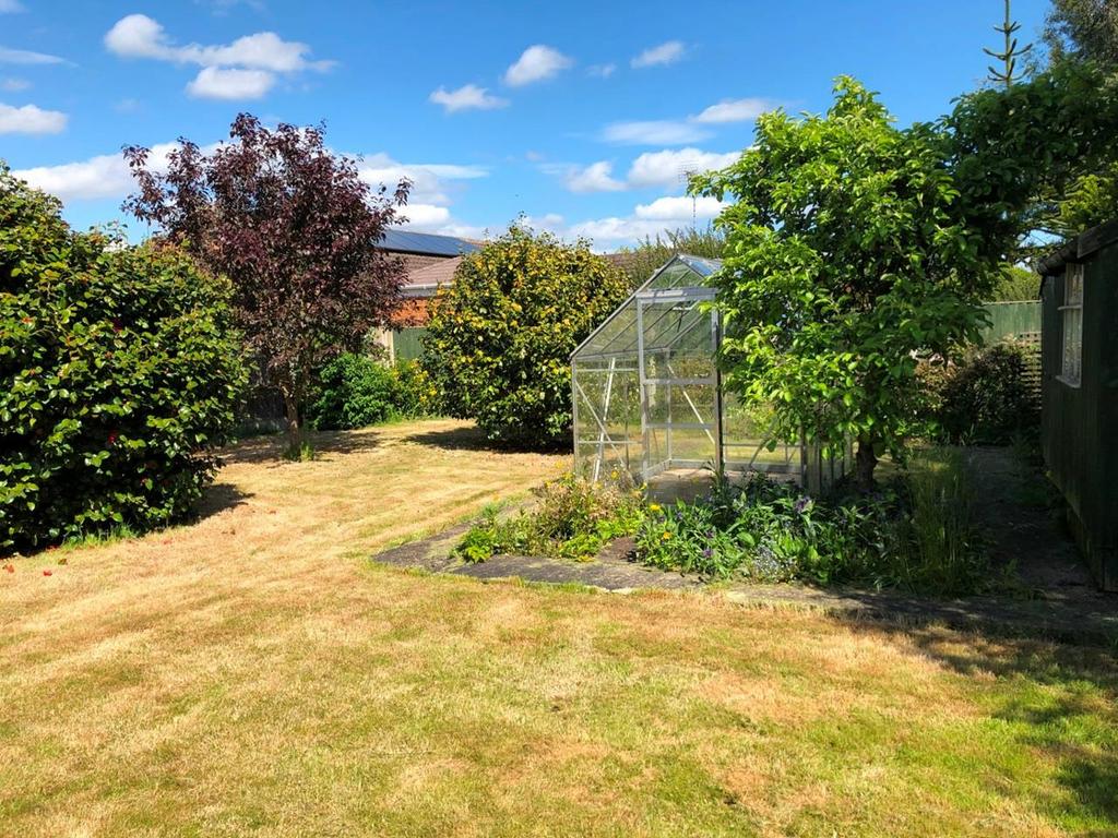 62 Derby- Garden 2.jpeg