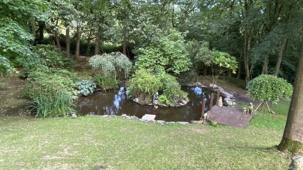 Pond.png