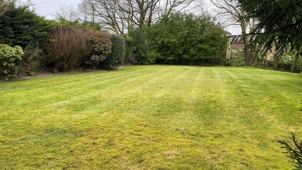 Garden 10.jpg