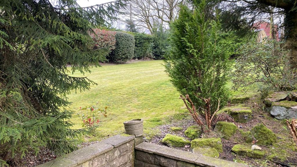 Garden 11.jpg