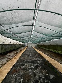 undefined, Cow Green, Bacton, nr Stowmarket, Suffolk