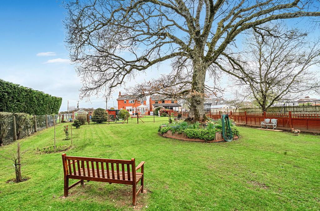 Garden and Oak Tree