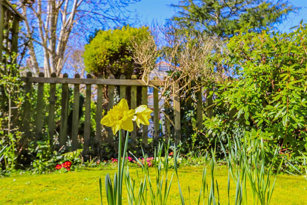 Colcot Road -35.jpg