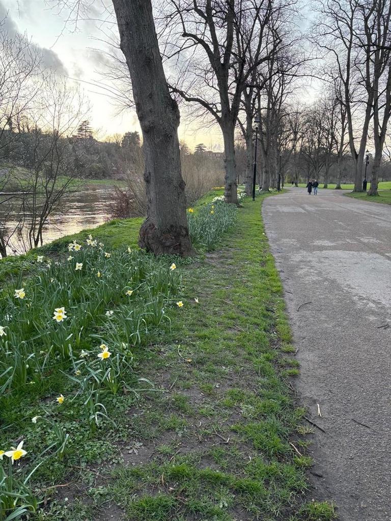 Adjacent Quarry Park.jpeg
